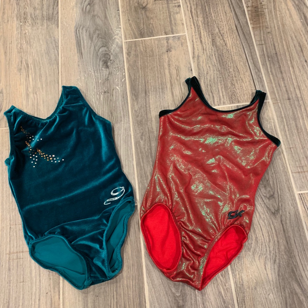 Two Leotards- Size Small